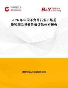 2026年中國羊角號行業(yè)市場前景預(yù)測及投資價值評估分析報告