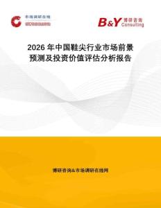 2026年中國(guó)鞋尖行業(yè)市場(chǎng)前景預(yù)測(cè)及投資價(jià)值評(píng)估分析報(bào)告