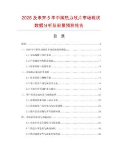 2026及未來5年中國熱力欣片市場現狀數據分析及前景預測報告