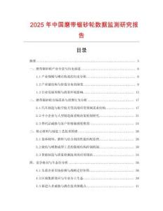 2025年中国磨带锯砂轮数据监测研究报告