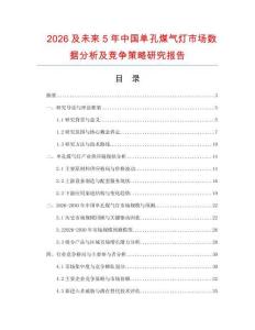 2026及未來5年中國單孔煤氣燈市場(chǎng)數(shù)據(jù)分析及競(jìng)爭(zhēng)策略研究報(bào)告
