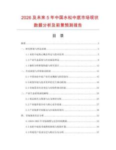 2026及未來5年中國水松中底市場現狀數據分析及前景預測報告