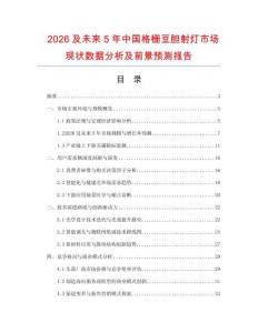 2026及未來5年中國格柵豆膽射燈市場現狀數據分析及前景預測報告