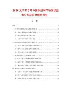 2026及未來5年中國手投網市場現狀數據分析及前景預測報告