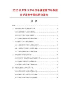2026及未來5年中國手挽套管市場數據分析及競爭策略研究報告