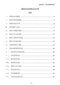 招投標活動風險應對方案