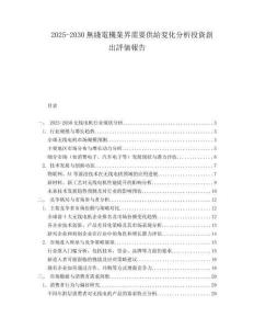 2025-2030無綫電機業(yè)界需要供給変化分析投資創(chuàng)出評価報告