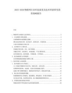 2025-2030物聯(lián)網(wǎng)行業(yè)科技前景及技術(shù)革新研究投資策略報告