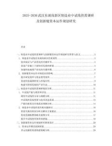2025-2030武漢東湖高新區(qū)制造業(yè)中試線供需調(diào)研及創(chuàng)新鏈資本運作規(guī)劃研究
