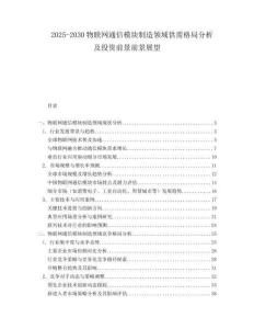 2025-2030物聯(lián)網(wǎng)通信模塊制造領(lǐng)域供需格局分析及投資前景前景展望