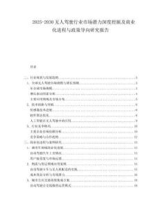 2025-2030無人駕駛行業(yè)市場潛力深度挖掘及商業(yè)化進程與政策導向研究報告