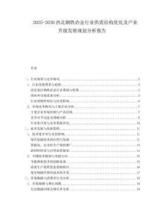 2025-2030西北鋼鐵冶金行業(yè)供需結(jié)構(gòu)優(yōu)化及產(chǎn)業(yè)升級(jí)發(fā)展規(guī)劃分析報(bào)告