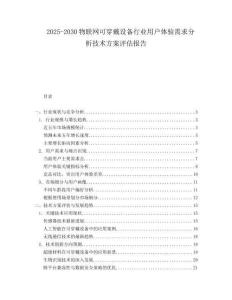 2025-2030物聯(lián)網(wǎng)可穿戴設(shè)備行業(yè)用戶體驗(yàn)需求分析技術(shù)方案評估報(bào)告