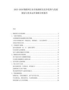 2025-2030物聯(lián)網(wǎng)行業(yè)市場調(diào)研及競爭優(yōu)勢與發(fā)展規(guī)劃與資本運(yùn)作策略分析報告