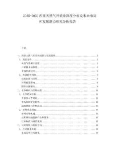 2025-2030西亞天然氣開采業(yè)深度分析及未來(lái)布局和發(fā)展?jié)摿ρ芯糠治鰣?bào)告