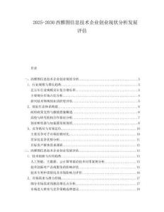 2025-2030西雅圖信息技術企業(yè)創(chuàng)業(yè)現(xiàn)狀分析發(fā)展評估