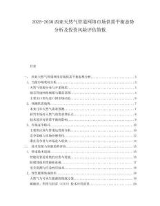 2025-2030西亞天然氣管道網(wǎng)絡(luò)市場(chǎng)供需平衡態(tài)勢(shì)分析及投資風(fēng)險(xiǎn)評(píng)估簡(jiǎn)報(bào)
