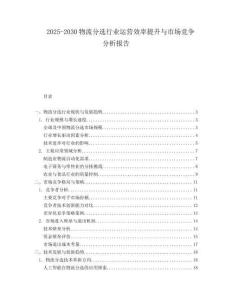 2025-2030物流分選行業(yè)運(yùn)營效率提升與市場競爭分析報告