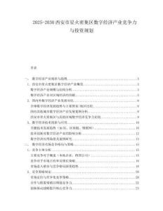 2025-2030西安市星火密集區(qū)數(shù)字經(jīng)濟(jì)產(chǎn)業(yè)競爭力與投資規(guī)劃