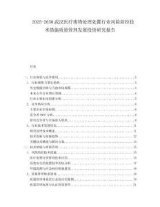 2025-2030武漢醫(yī)療廢物處理處置行業(yè)風(fēng)險防控技術(shù)措施質(zhì)量管理發(fā)展投資研究報告