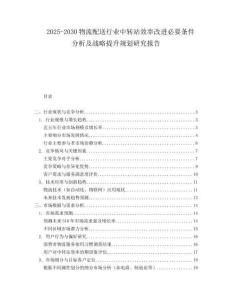 2025-2030物流配送行業(yè)中轉(zhuǎn)站效率改進(jìn)必要條件分析及戰(zhàn)略提升規(guī)劃研究報(bào)告