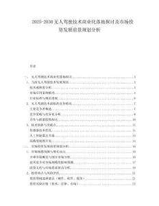 2025-2030無(wú)人駕駛技術(shù)商業(yè)化落地探討及市場(chǎng)投資發(fā)展前景規(guī)劃分析
