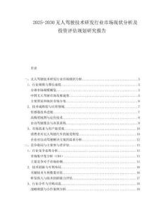 2025-2030無(wú)人駕駛技術(shù)研發(fā)行業(yè)市場(chǎng)現(xiàn)狀分析及投資評(píng)估規(guī)劃研究報(bào)告
