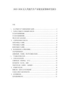 2025-2030無(wú)人駕駛汽車產(chǎn)業(yè)鏈發(fā)展策略研究報(bào)告