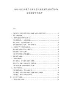 2025-2030西藏自治區(qū)生態(tài)旅游發(fā)展及環(huán)境保護(hù)與文化旅游研究報(bào)告