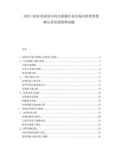 2025-2030西南亞可再生能源行業(yè)市場分析投資策略行業(yè)發(fā)展趨勢前瞻