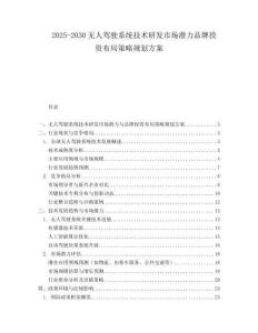 2025-2030無人駕駛系統(tǒng)技術研發(fā)市場潛力品牌投資布局策略規(guī)劃方案
