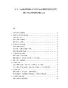 2025-2030物聯(lián)網(wǎng)技術(shù)應(yīng)用行業(yè)市場(chǎng)供需探討及信息產(chǎn)業(yè)發(fā)展規(guī)劃分析方案