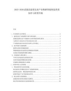 2025-2030武強(qiáng)縣溫度儀表產(chǎn)業(yè)集群智能制造供需協(xié)作與轉(zhuǎn)型升級(jí)