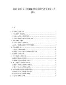 2025-2030無人駕駛技術(shù)行業(yè)研究與發(fā)展策略分析報(bào)告