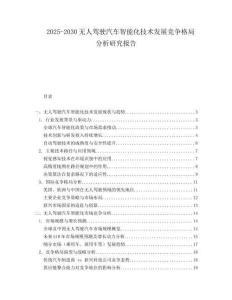 2025-2030無人駕駛汽車智能化技術發(fā)展競爭格局分析研究報告