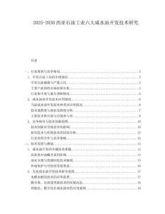 2025-2030西亞石油工業(yè)六大咸水油開發(fā)技術(shù)研究