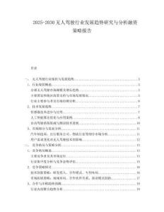 2025-2030無人駕駛行業(yè)發(fā)展趨勢(shì)研究與分析融資策略報(bào)告