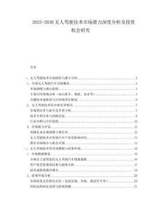 2025-2030無人駕駛技術市場潛力深度分析及投資機會研究