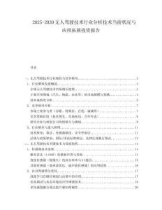 2025-2030無人駕駛技術行業(yè)分析技術當前狀況與應用拓展投資報告