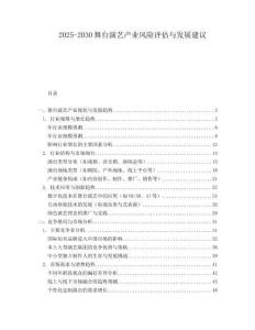 2025-2030舞臺演藝產(chǎn)業(yè)風險評估與發(fā)展建議