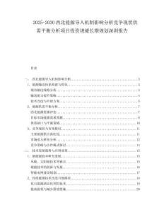 2025-2030西北能源導(dǎo)入機(jī)制影響分析競爭現(xiàn)狀供需平衡分析項(xiàng)目投資規(guī)避長期規(guī)劃深圳報(bào)告