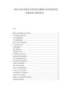 2025-2030西南東北華南西北編程行業(yè)市場分析及發(fā)展前景與投資研究