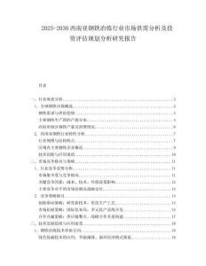 2025-2030西南亞鋼鐵冶煉行業(yè)市場(chǎng)供需分析及投資評(píng)估規(guī)劃分析研究報(bào)告