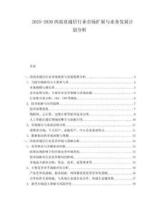 2025-2030西南亞通信行業(yè)市場擴展與業(yè)務發(fā)展計劃分析