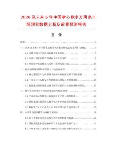 2026及未來5年中國掌心數字萬用表市場現狀數據分析及前景預測報告