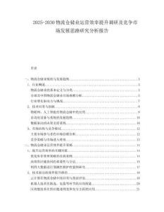 2025-2030物流倉儲業(yè)運營效率提升調(diào)研及競爭市場發(fā)展思路研究分析報告