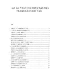 2025-2030西亞天然氣行業(yè)市場(chǎng)發(fā)展需求供給技術(shù)革新及投資全球布局規(guī)劃分析報(bào)告