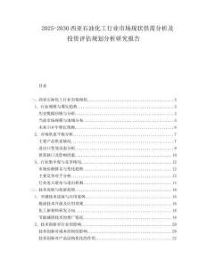 2025-2030西亞石油化工行業(yè)市場(chǎng)現(xiàn)狀供需分析及投資評(píng)估規(guī)劃分析研究報(bào)告