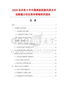 2026及未來5年中國高級吸鼓風燙臺市場數據分析及競爭策略研究報告