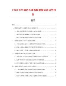 2026年中國四孔革拖鞋數據監測研究報告